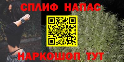 Альфа ПВП Славянск-на-Кубани