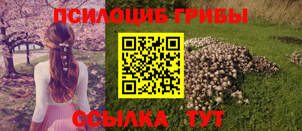 Где купить  Оренбург  МЕФ  Марихуана  ЭКСТАЗИ  ГАШИШ  Вход с VPN  МЕФ кристаллы 