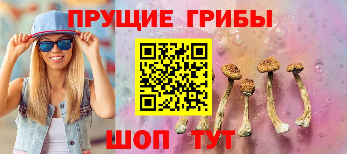 Псилоцибиновые грибы мицелий  Вход с VPN  закладки  Галлюциногенные грибы Psilocybe  Оренбург 